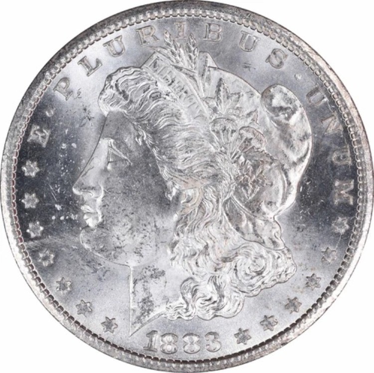 1883-CC モルガン銀貨 チョイス BU 未認定 #310