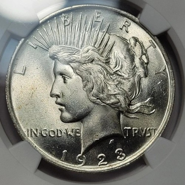 1923年 1ドル ピースシルバー NGC MS66 極上宝石 PQ 高品位 美品 *K486