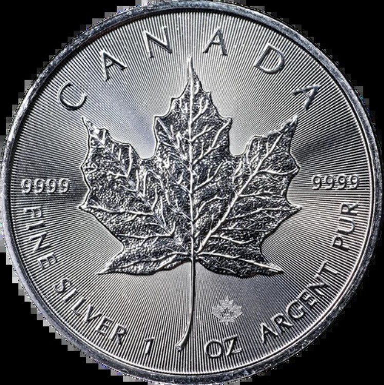 楽天市場】【2025年】銀貨 メイプルリーフ銀貨 1oz 5枚セット(5オンス
