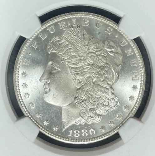 1880/9 S モーガン シルバードル ~ NGC MS 64 VAM 11 レガシーコレクション REF#49-002｜WORLD RESOURCE【KING店】