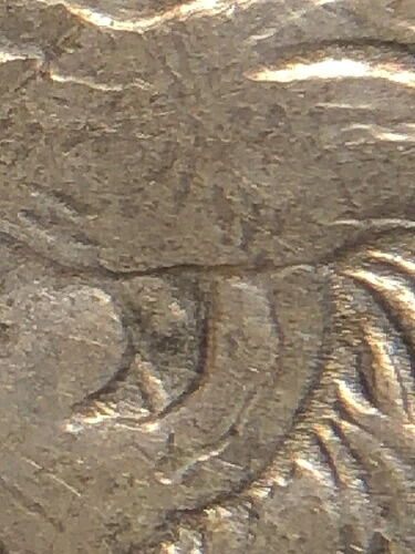 1901-O モルガン銀貨 VAM 1A LDS スーパーCD。後期型で希少なVAM。｜WORLD RESOURCE【KING店】