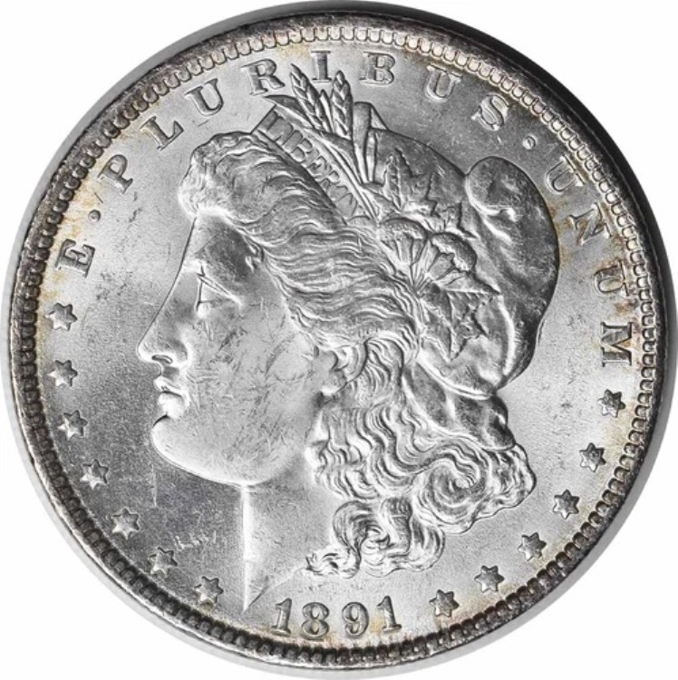1891年 モルガン銀貨 チョイス BU 未認定 #128｜WORLD RESOURCE【KING店】