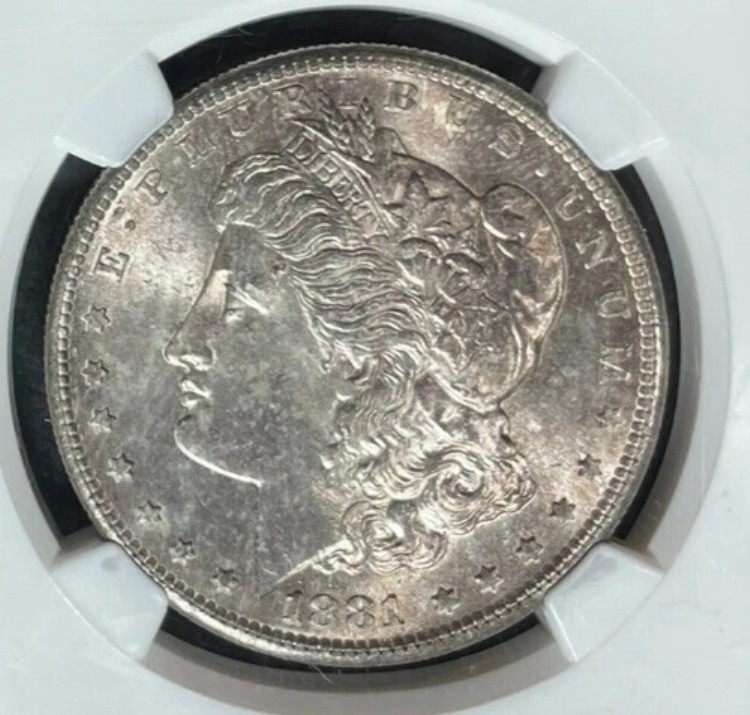 1881-S モーガン シルバードル ~ NGC MS 65 ~美しいコイン~ REF#71-006