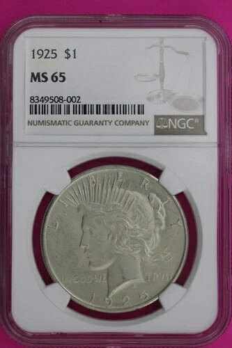 1925年 P MS 65 リバティピースシルバードル NGC認定グレード本物 1123｜WORLD RESOURCE【KING店】