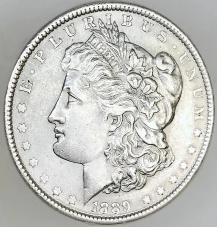 ??1889年モルガン・ダラー??スーパースターの逸品??白く輝く美しさ??必見??｜WORLD RESOURCE【KING店】