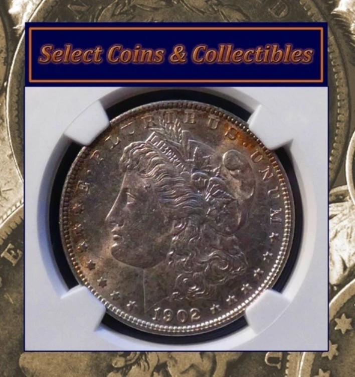 1902-O モルガン銀貨 - NGC MS 64 エッジトーン ブレザー！PQコイン！ #1264｜WORLD RESOURCE【KING店】