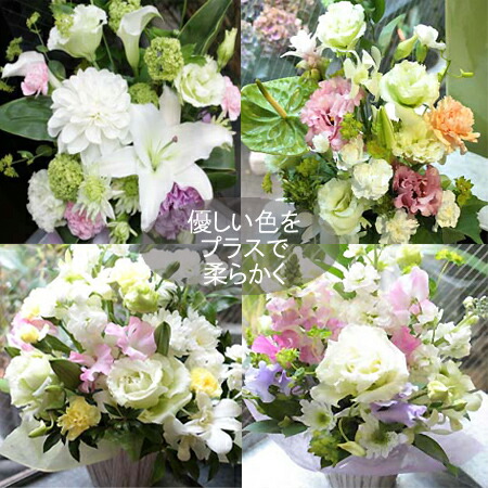 お供え お盆 花 選べるご予算 ホワイトスウィート御供え お悔やみ ご命日 葬式など 花 送料無料 一周忌 東京 ペット 楽ギフ メッセ入力 花 密葬 法事 葬儀 枕花 即日配送 ピンポン菊 弔事 四十九日 生花 キリスト教 フラワーアレンジ 仏花 お彼岸 喪中見舞い Educaps Com Br