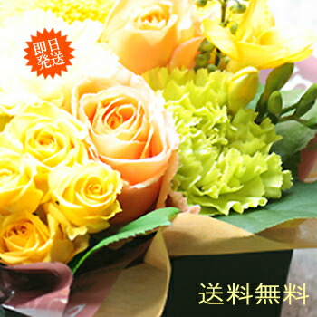 花 ギフト アレンジメント 季節 限定 Box M アレンジ Or 送料無料 花 誕生日 フラワー ボックス 開店祝い 花 生花 お祝い花 誕生日 生花 ボックス 発表会 退職 送別 イベント 楽屋 アレンジ 長寿祝い あす楽 お供え 幸運 Rcp