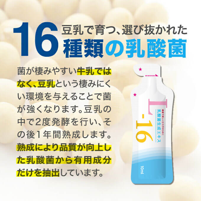 新品】 6 19限定5％OFFクーポン配布中 麦焼酎 25度博多の華 麦 1800ml 1.8L 瓶 1本 materialworldblog.com