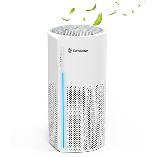 楽天市場】Jerdazen 空気清浄機 小型 17畳 脱臭 卓上 軽量 集