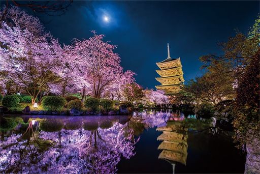 やのまん(Yanoman)【日本製】1000ピースジグソーパズルKAGAYA月夜に咲く京都(50x75cm)10-1299ピース請求ハガキのり付きへら付きサービスカード付ジグソーパズルのトリセツ付