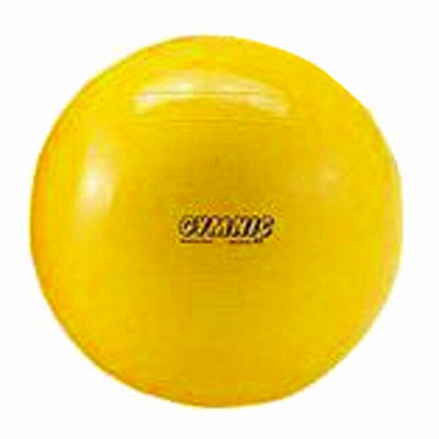 最適な価格 ギムニク バランスボール 75cm ギムニクボール ソフトギムニク ソフトジム バランスディスク バランスクッション フィットボール エクササイズボール ダイエット ダンノ Danno D 5433 ヴォーグスポーツ店 予約販売品 Lifeactive Rs