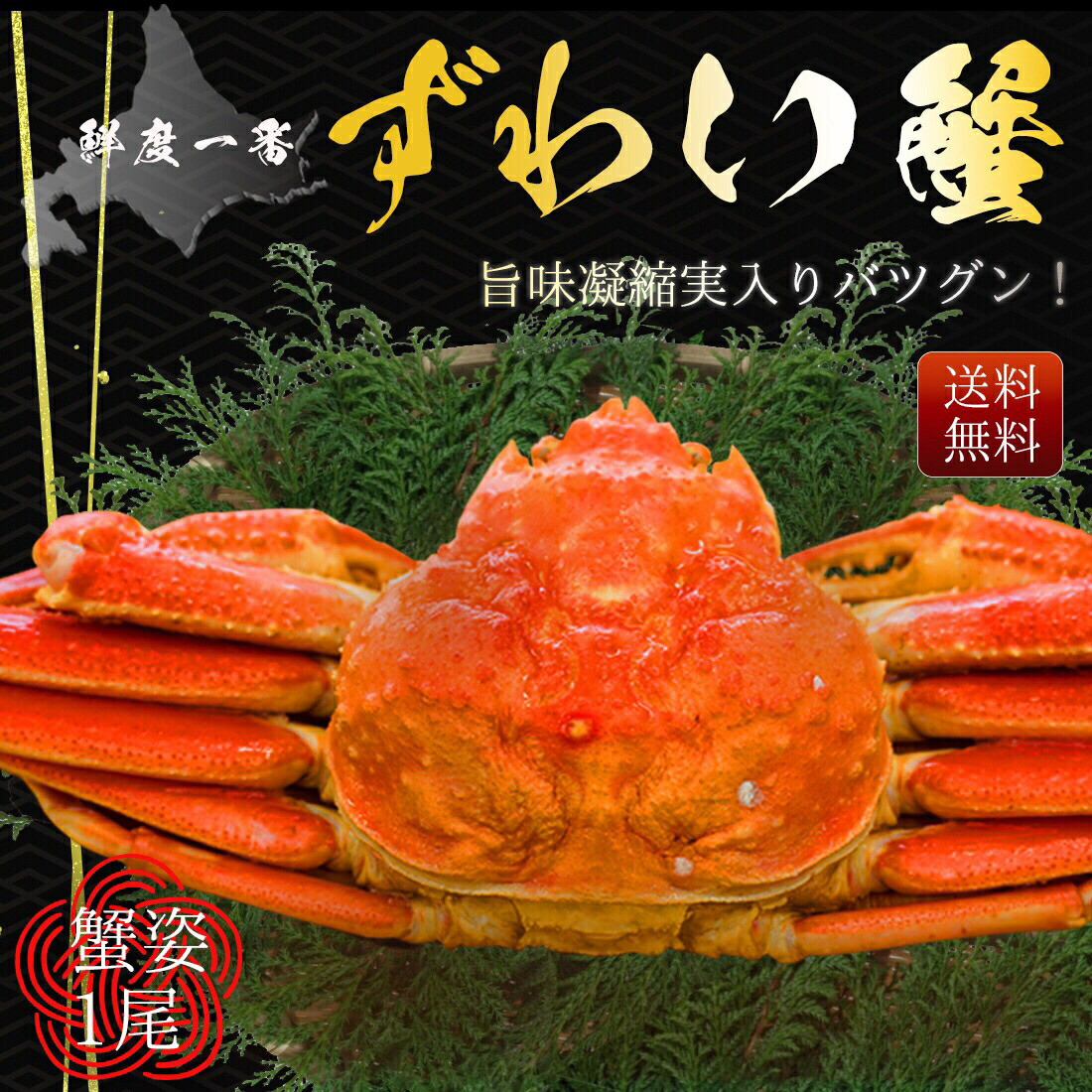 【期間限定SALE⇒20％OFFクーポン有！】 ズワイガニ 浜茹 姿 大型 かに カニ ずわいがに ズワイ蟹 ずわい蟹 お祝い お年賀 プレゼント お歳暮 お中元 父の日 母の日 ギフト 贈呈品 800g前後 冷凍 甲羅 カニみそ kani 【レビュープレゼント有】