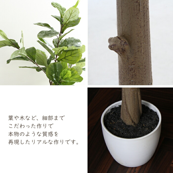 観葉植物 フェイク 155cm インテリア 造花 人工観葉植物 フィカス リラータ カシワバゴム ゴムの木 水やり不要 枯れない 5号鉢 大型 おしゃれ Rvcconst Com