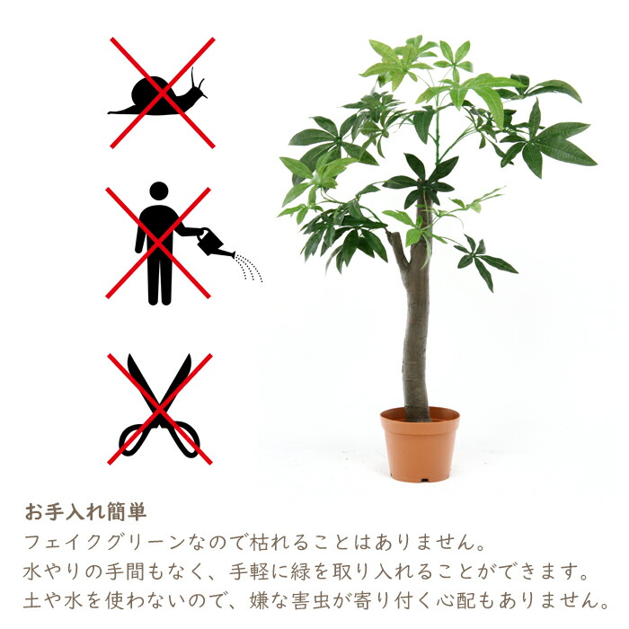 楽天市場 Pt5倍 Black Friday 観葉植物 フェイク 150cm インテリア 造花 人工観葉植物 パキラ 朴パキラ 水やり不要 枯れない 8号鉢 大型 おしゃれ The Voice