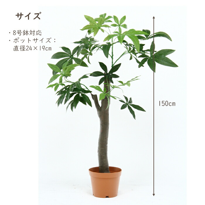 観葉植物 フェイク 150cm インテリア 造花 人工観葉植物 パキラ 朴パキラ 水やり不要 枯れない 8号鉢 大型 おしゃれ Rvcconst Com