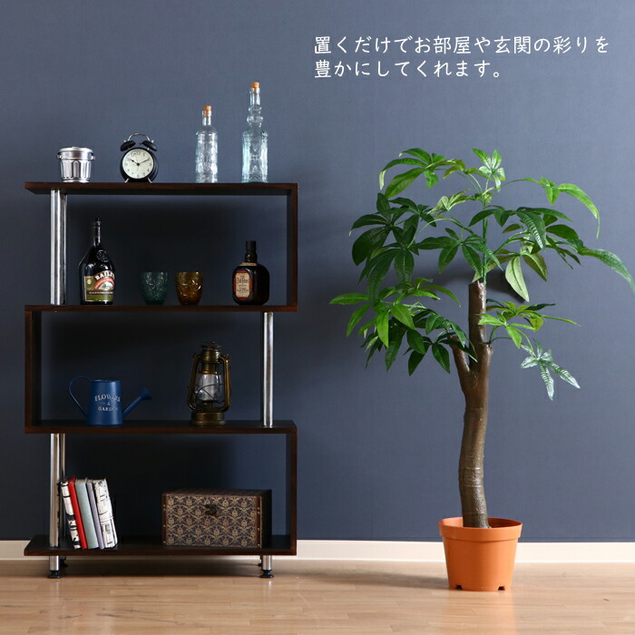 観葉植物 フェイク 150cm インテリア 造花 人工観葉植物 パキラ 朴パキラ 水やり不要 枯れない 8号鉢 大型 おしゃれ Rvcconst Com 観葉植物 フェイク 150cm インテリア 造花 人工観葉植物 パキラ 朴パキラ 水やり不要 枯れない 8号鉢 大型 おしゃれ Rvcconst Com