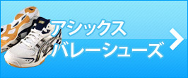 楽天市場】 レフリー用品 > レフリーシューズ : バレーボール