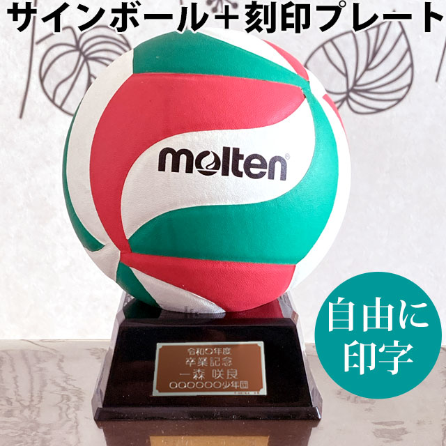 サインボール バレーボール