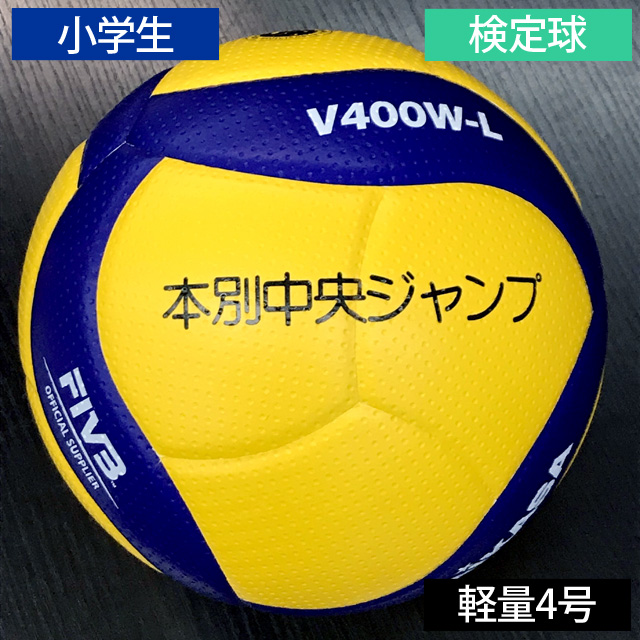 市場 ミカサ バレーボール サッカーボール兼用ボールバッグ1個入れ MIKASA