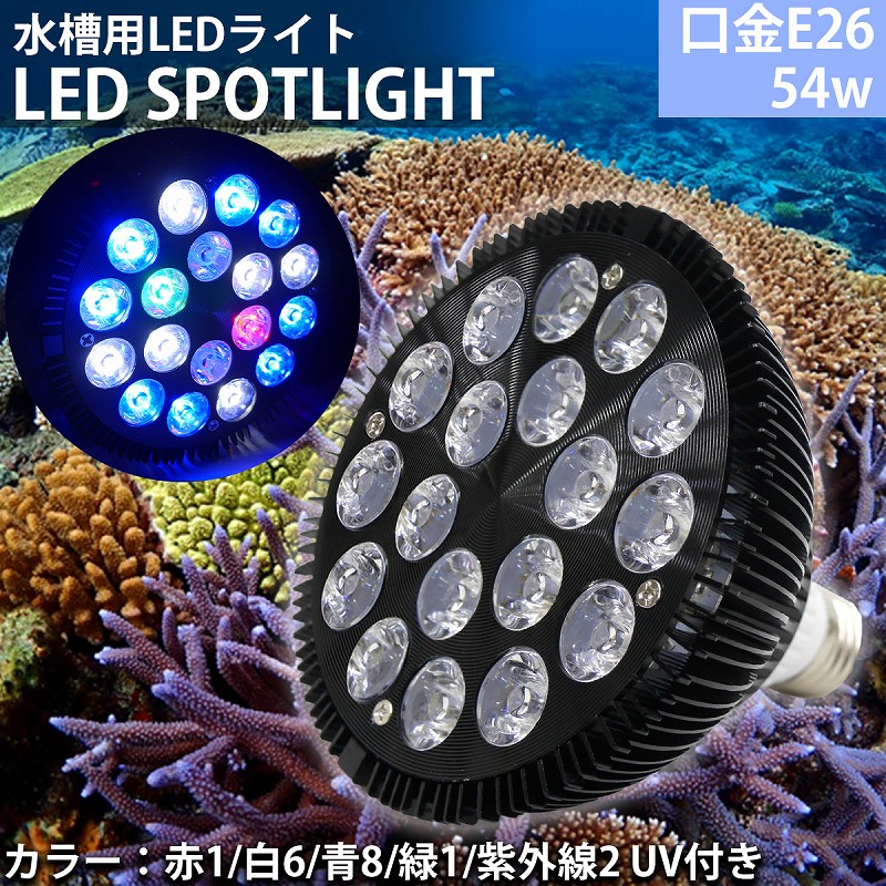 楽天市場 E26口金 54w 珊瑚 植物育成 水草用 水槽用 熱帯魚 Ledアクアリウムスポットライト 赤1 白6 青8 緑1 紫外線2 Uv付き Ql 14 Manolla 楽天市場店