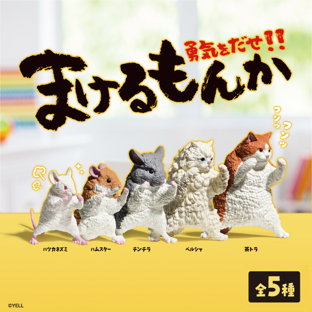 楽天市場】【全5種類セット】ガチャ ガチャガチャ コンプリート 中身