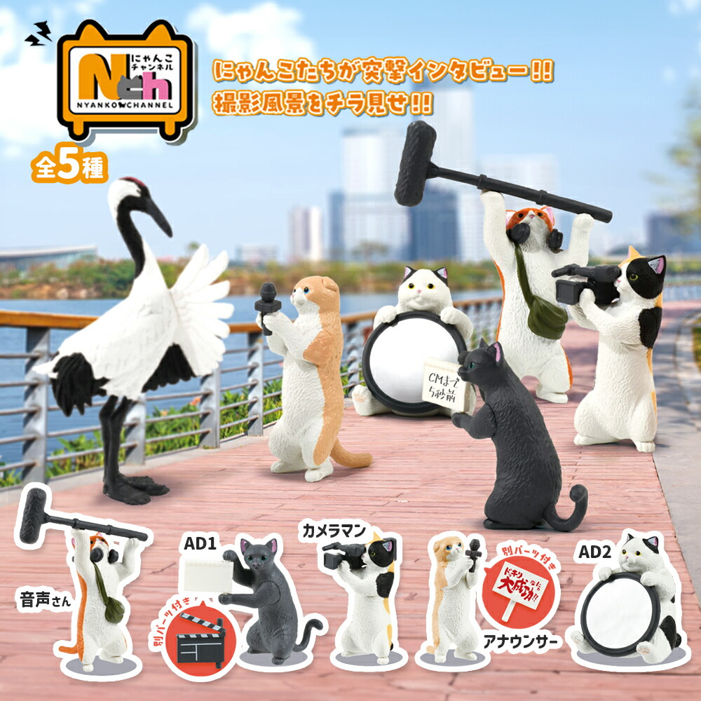 かぼちゃ、ねこしゃんぽしぇっとセット かぼちゃ、ねこしゃんぽしぇっとセット Amazon | SONGWAY ねこ