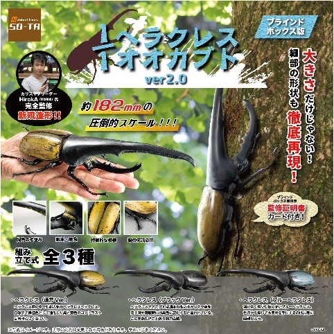 ヘラクレスン 182㎜ 爆誕 : Hercules Warehouse