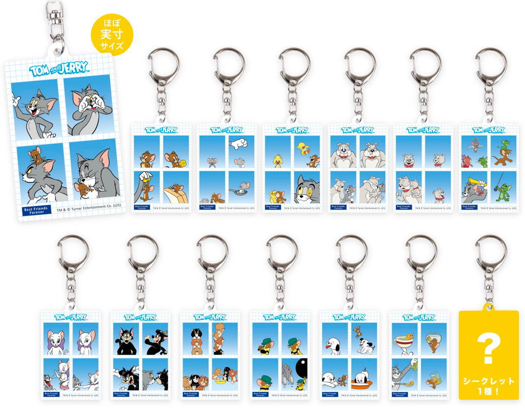 【全品　送料無料！】【14個セット】【セット】【セット商品】【トムとジェリー】シークレット証明写真風キーホルダー【ワーナー】【アニメ】【キーホルダー】【キーリング】【チャーム】【鍵】【雑貨】【グッズ】【かわいい】【TE】