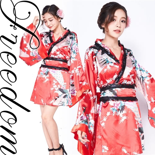 Cute Kimono Dress