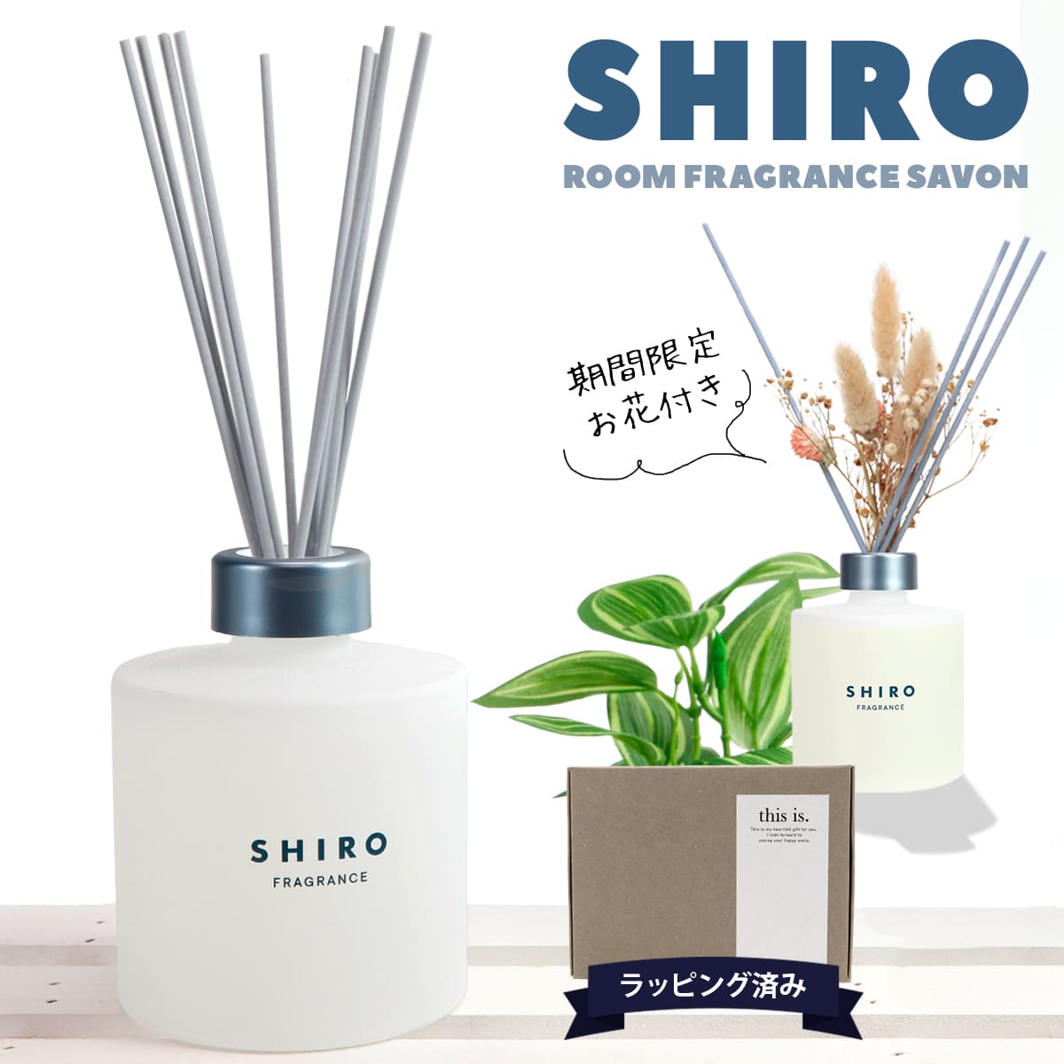 Amazon.co.jp: シャネル エゴイスト プラチナム EDT SP 100ml : ビューティー