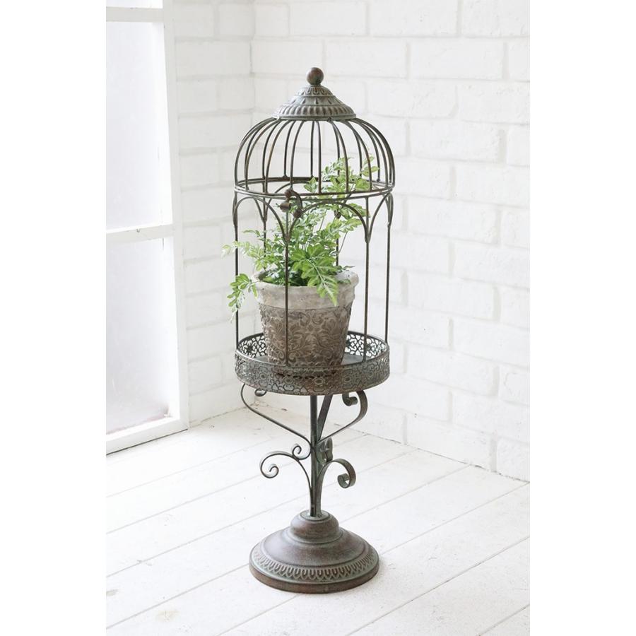 楽天市場】プランツゲージ 小鳥 Bird プランタースタンド 花台