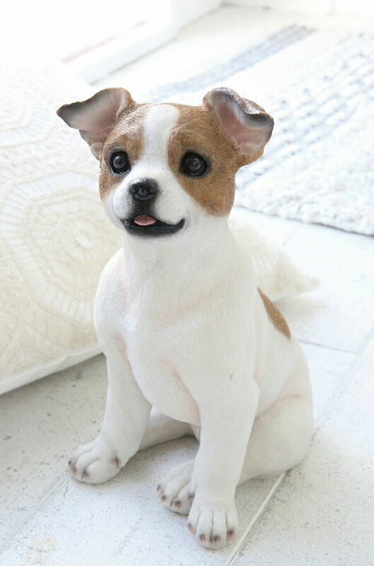 犬 いぬ わんこ 子犬 パピー ワンコ イッヌ アンティーク調 置物 ジャックラッセルテリア 掛けられる 犬好き おしゃれ ディスプレイ 店舗装飾 オブジェ インテリア雑貨 かわいい 贈り物 誕生日 プレゼント ギフト 送料無料 パピー ジャック ボブ Educaps Com Br