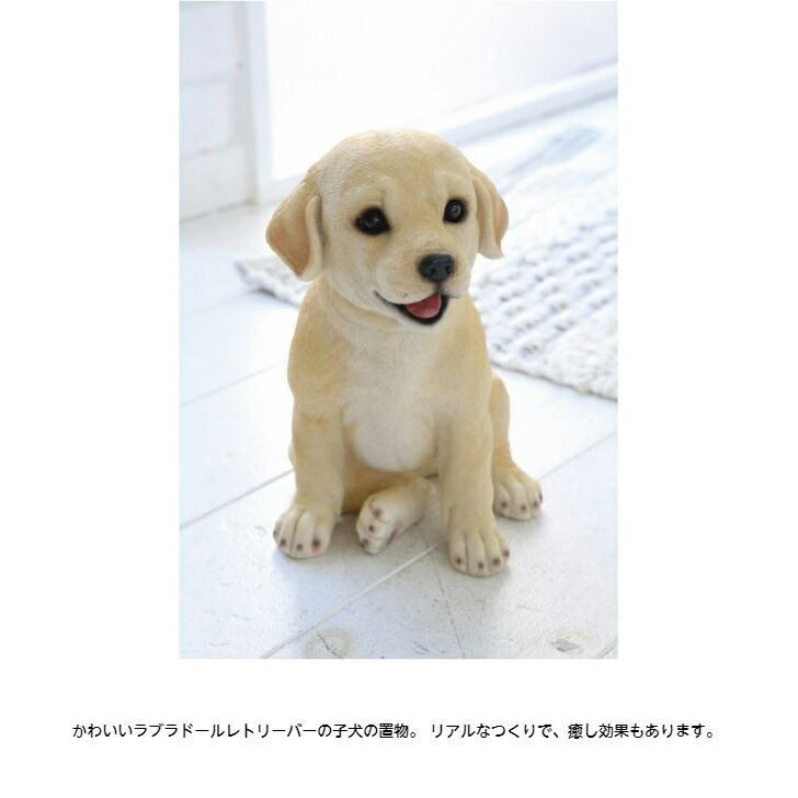 犬 置物 ラブラドールレトリバー ラブラドール レトリーバー オブジェ アニマル オーナメント ワンコ 犬雑貨 おしゃれ ワンちゃん ワンコグッズ アンティーク オブジェ インテリア雑貨 プレゼント 贈り物 ギフト 送料無料 パピー ラブラドールレトリバー Giosenglish Com