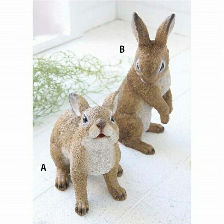 楽天市場】うさぎ 白い 黒ぶち ウサギ 兎 ラビット 動物雑貨