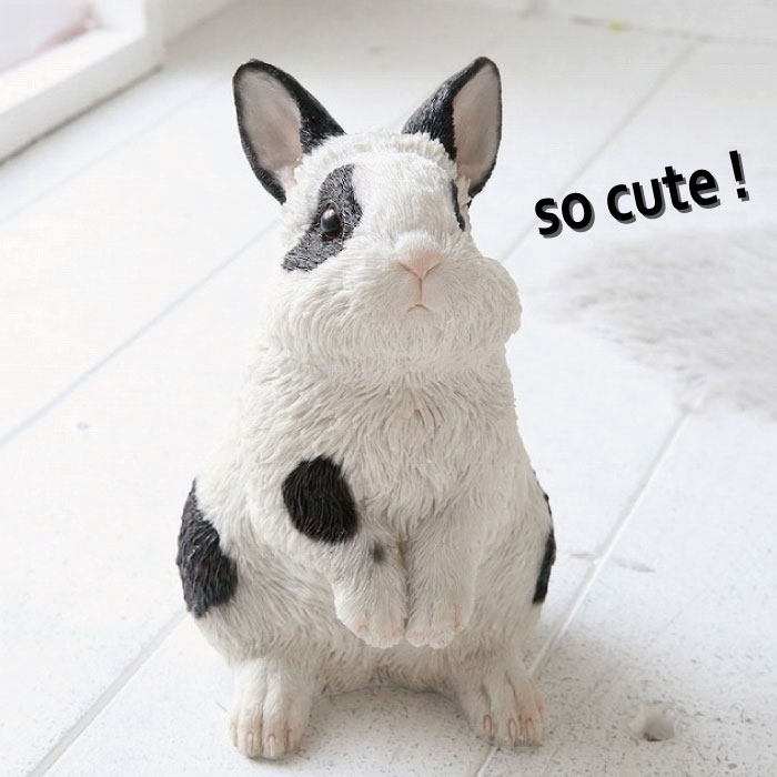 楽天市場】うさぎ 白い 黒ぶち ウサギ 兎 ラビット 動物雑貨