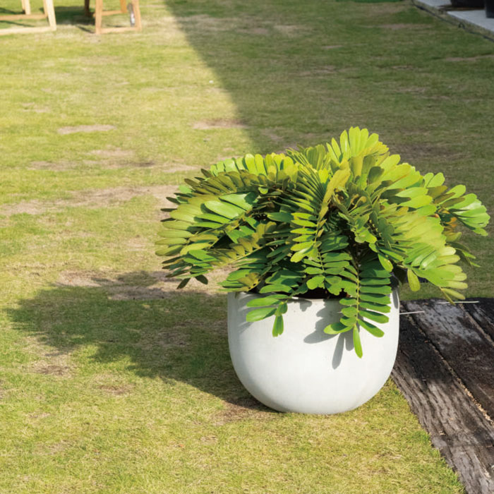 プランター 植木鉢 おしゃれ 鉢 鉢植え 軽量 シャビー ファイバーセメント製 ガーデニング 庭 おしゃれ ナチュラル ダークグレー ホワイト 穴あり 底穴あり 玄関前 【送料無料】Masonボウル φ48