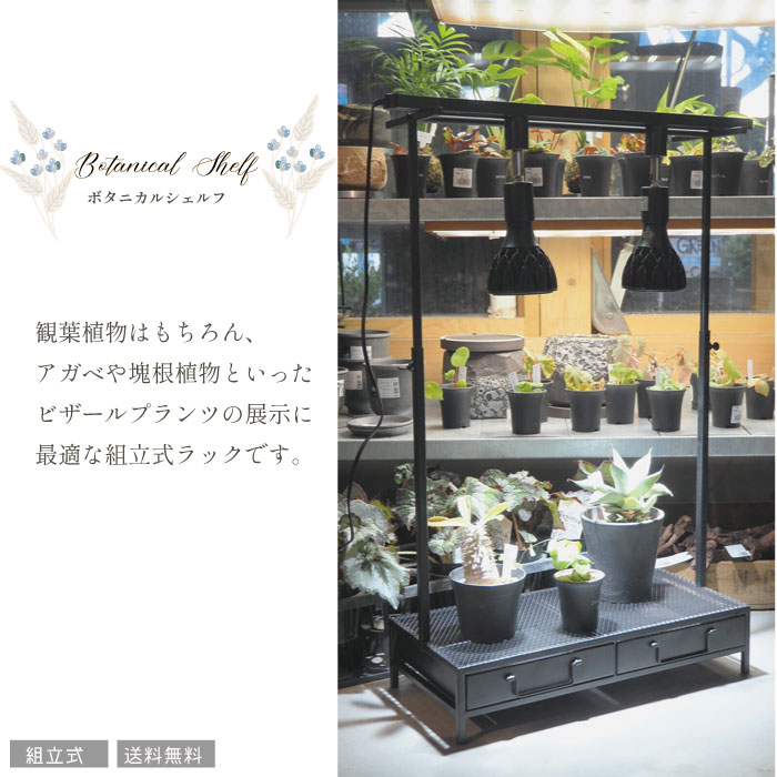 楽天市場】ビザールプランツラック LPR-800-WH ホワイト キャスター