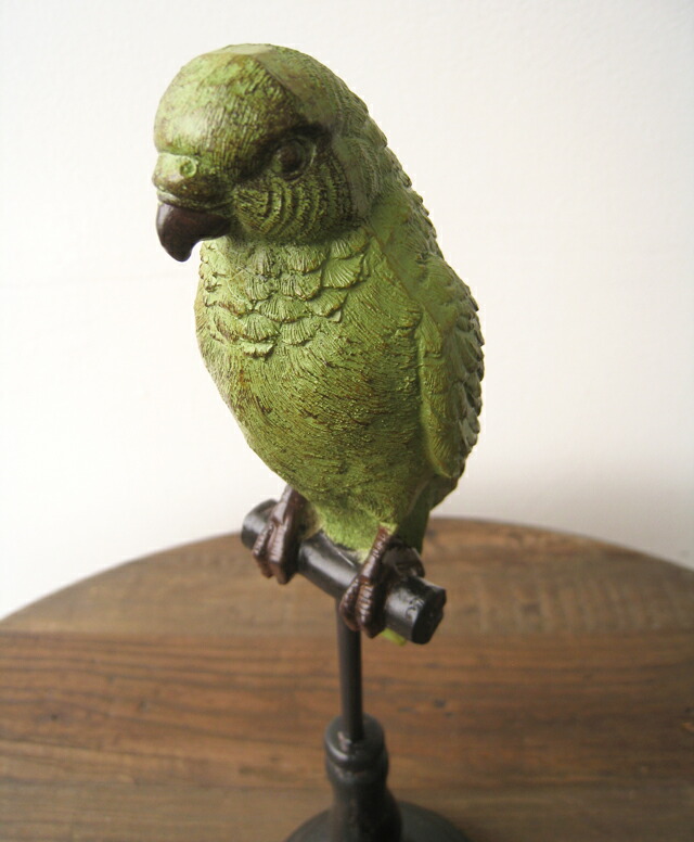 楽天市場】Sun Parakeet メキシコインコ 自然の造形が美しい鳥の置物