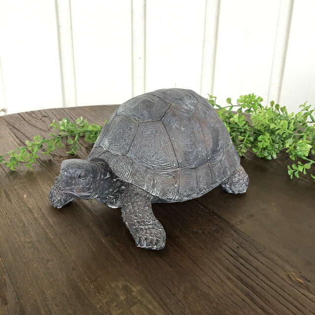 亀 リクガメ 陸亀 陸ガメ かめ かめさん かわいい リアル カメ 置物 金運 開運 健康 長寿 風水 健康運 幸せ 高級感 送料無料 リクガメの置物 Giosenglish Com