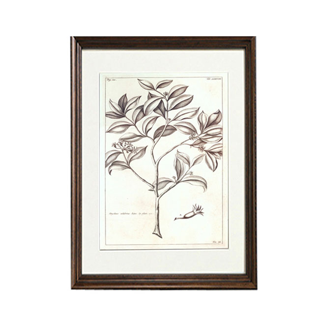 楽天市場】アートポスター アートパネル フレーム付き 額付き