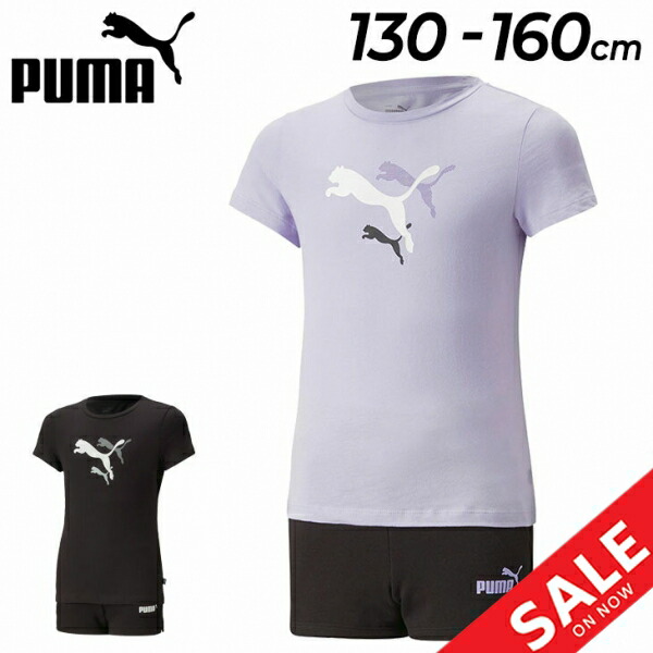 PUMA - 新品 PUMA regular FIT Tシャツ 短パン セット M 楽天市場】40%off 送料無料 プーマ メンズ レディース 半袖 T