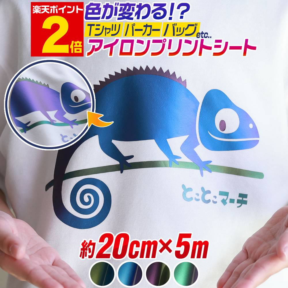 vcs-iron-nin-20cm5m.jpg