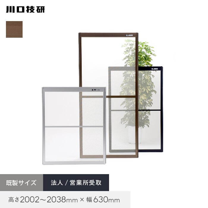 新着知らせ