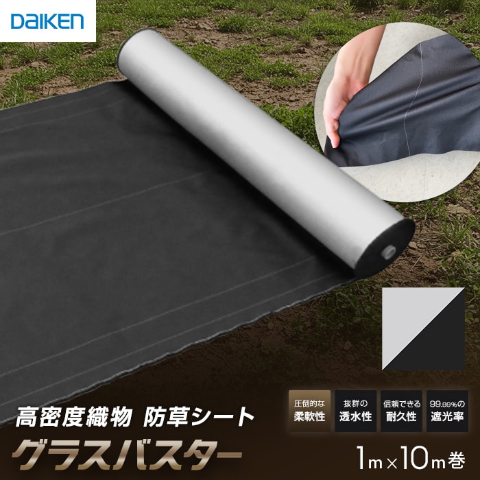 新着音沙汰