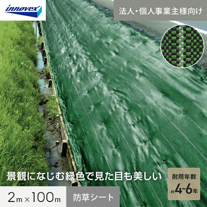 新着音沙汰