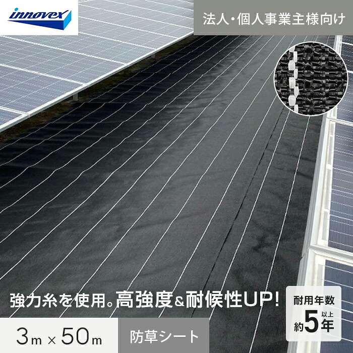 新着音沙汰