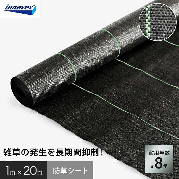 新着音沙汰