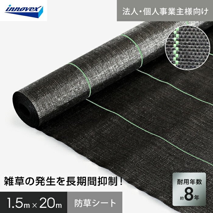 新着音沙汰