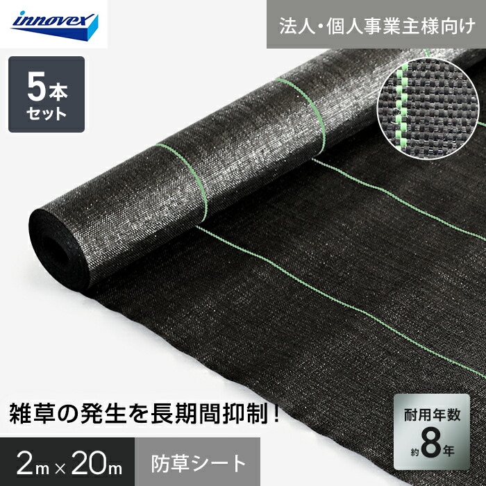 新着音沙汰